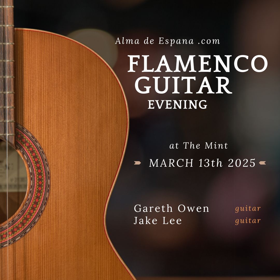 Copy of flamenco Guitar (Instagram Post)